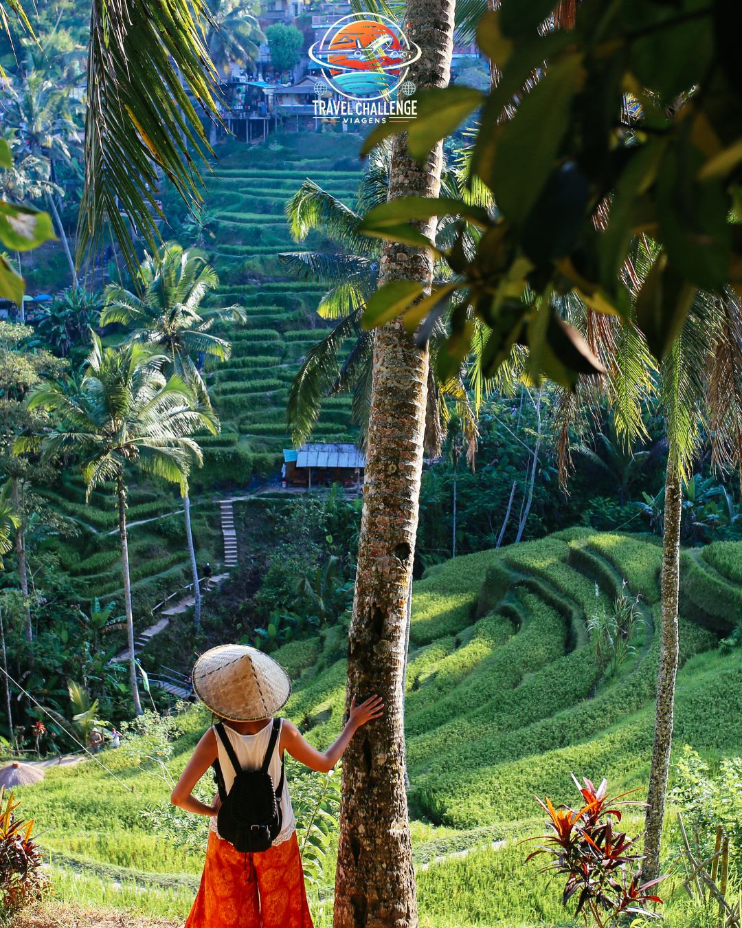 Consultor independente iCliGo